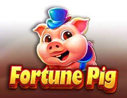 65x6 bet