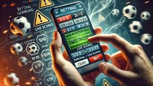 65x6 bet