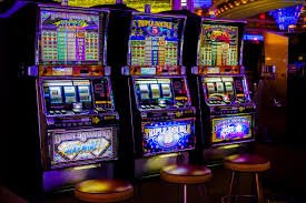 65x6 bet